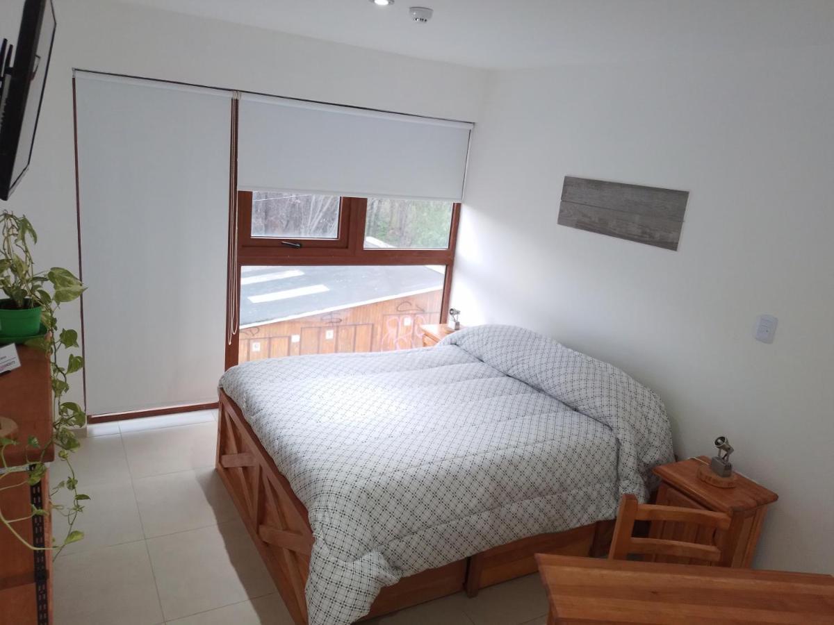 Апартаменти Departamento Centrico Krenn Ушуайя Екстер'єр фото